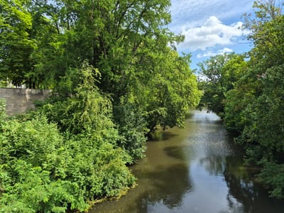 The image depicts a scenic view of the river Oker flowing through the city of Brunswick, Germany, on a bright, partly cloudy day. Lush green trees and dense foliage line both banks of the river, with some trees extending their branches over the water. The river itself is a dark, calm body of water, reflecting the surrounding greenery and the sky. In the background, a stone embankment is visible on the left side, partially obscured by trees. The sky above is a vibrant blue with scattered white clouds. The overall impression is one of a tranquil, verdant urban landscape.