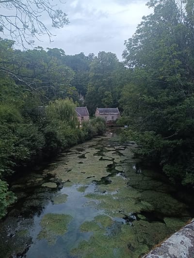 The image depicts a serene waterway bordered by dense foliage and two stone buildings. The water surface is partially covered with green aquatic vegetation, creating a dappled pattern. In the distance, two stone structures with grey roofs are visible, nestled among trees. The sky is overcast with a pale, diffused light. The scene suggests a tranquil, rural setting, possibly within the Arun district of the United Kingdom, characterized by its natural beauty and quaint architecture. There are no people or animals visible in the frame.