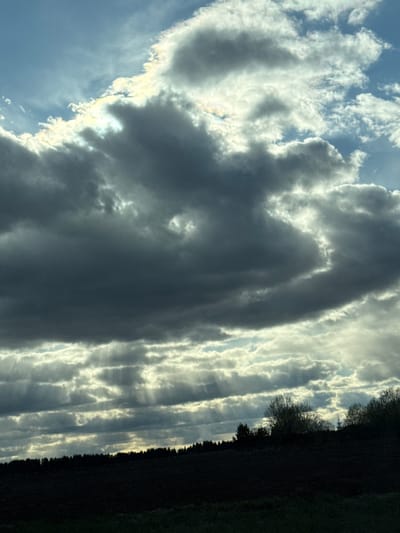 The image shows a daytime sky with a variety of cloud formations. Dominating the view are dark, billowing clouds contrasting with areas of bright, sunlit clouds. To the right of the frame, a dark, vaguely defined line suggests the edge of a tree line or forest. While the image captures a natural scene involving clouds and trees, it doesn't provide any information specifically linking it to the city of Osinovka or the location within the region. There are no people, distinct subjects, objects, actions or interactions visible within the frame.
