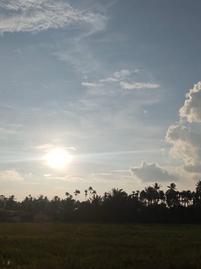 This is a vertical, eye-level shot of a rural landscape in Meunasahlueng, Indonesia, bathed in the warm glow of a setting sun. The sky is a soft gradient of blue and white, with scattered clouds and the sun prominently positioned in the upper left quadrant, casting a brilliant, hazy light. In the mid-ground, a dense line of silhouetted palm trees and other foliage forms a dark barrier. Beneath the trees, a few structures, possibly houses with light-colored walls, are visible, also partially obscured by shadow. The foreground is dominated by a dark, textured field, likely rice paddies, with subtle variations in shade suggesting water or varying growth. The overall impression is one of tranquility and natural beauty at dusk.
