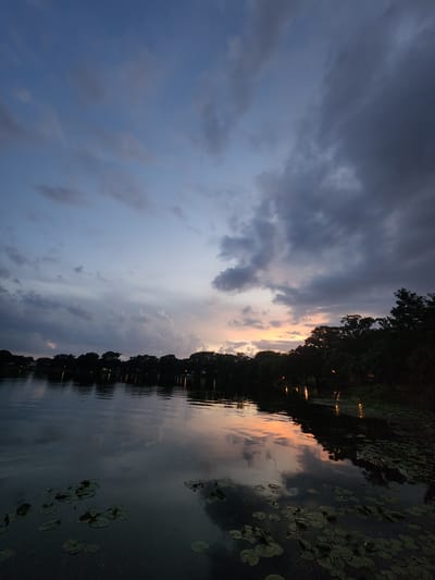 The image depicts a serene lakeside scene at dusk in Winter Park, Florida. The sky is a gradient of blues, grays, and soft oranges, with scattered clouds. The calm water of the lake reflects the sky and the silhouettes of trees lining the distant shore. Lily pads are visible floating on the surface of the water in the foreground. The overall atmosphere is peaceful and tranquil, characteristic of twilight in a natural setting.