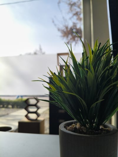 The image depicts an indoor scene looking out through a window to an outdoor environment in Riccione, Italy. In the immediate foreground, on a light-colored surface, a potted plant is centered, exhibiting numerous vertical, pointed leaves predominantly dark green with yellow-green tips. The plant is contained within a gray, cylindrical pot, approximately 8-10 cm in diameter, filled with small, light-colored pebbles around the base of the foliage. This plant is in sharp focus.
Through the window, a blurred outdoor landscape is visible. The sky, a bright, clear blue, occupies the upper portion. The bare branches of a deciduous tree are discernible against the sky on the upper right. A long, white, opaque wall or barrier stretches horizontally across the mid-distance. Below this wall, a light-colored pathway or ground surface is present, upon which a dark, three-tiered decorative object, composed of interconnected hexagonal shapes, stands. No individuals are present, and no actions or interactions are depicted. The scene is illuminated by natural daylight.