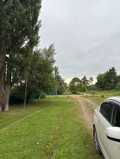 A bright white car is parked on the right side of a dirt road. The road curves to the left and continues into a wooded area. On the left side of the road, there is a large tree with a thick trunk and dense green foliage. Beyond the tree, a green metal fence is visible. The ground is covered in green grass with some patches of wildflowers. The sky is overcast, and power lines stretch across the top of the image. The scene appears to be in a rural setting, possibly on the outskirts of the city of Siniy Gay, Russia, given the presence of the car and the natural landscape.