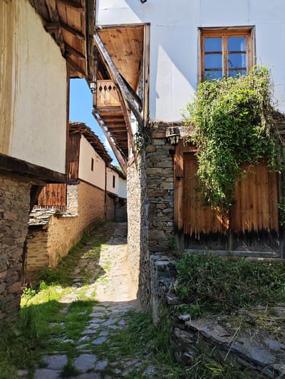 The image captures a narrow, sunlit cobblestone alleyway in the village of Kovachevitsa, Bulgaria, flanked by traditional stone and timber-framed houses. On the left, a building presents a cream-colored plastered upper story above a dry-stacked stone foundation, featuring visible dark wooden structural beams. Further down the alley, additional traditional houses with stone slab roofs are discernible. On the right, a multi-story building exhibits a white plastered upper facade with a wooden window divided into four panes. Beneath this window and extending across a lower wooden door, dense green climbing vegetation is prominent. An elevated wooden structure, possibly a covered walkway or balcony, with exposed wooden planks and support beams, spans overhead, extending between the buildings. A decorative metal lantern hangs from this overhead structure. The alley floor is paved with irregular stone cobblestones, with patches of green grass and weeds growing between them and along the base of the stone walls. Bright sunlight illuminates parts of the scene, casting distinct shadows on the alley's surface and the building facades. No individuals or active subjects are present.
