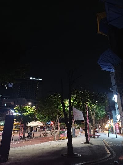 This is a nighttime photograph depicting an urban street scene in Mapo-gu, South Korea. The sky is dark and clear, occupying the upper portion of the frame. The scene is illuminated by artificial light sources, primarily streetlights, building signage, and internal building lights.
In the foreground, a paved sidewalk occupies the lower half of the image, leading towards a paved road. Several trees with dark trunks are present, some with green foliage illuminated by overhead streetlights, others appearing bare. A white banner with red Korean text is affixed to one of the central tree trunks. A dark-colored bench is visible to the left of the central trees, and another red bench is visible further down the right-hand sidewalk. Various utility boxes or small kiosks are situated along the sidewalk.
The midground features a two-lane road with visible lane markings, appearing reddish-brown under the lighting. On the far side of the road, more commercial buildings are visible, each with illuminated signs in Korean. A yellow bus is partially visible on the left side of the road, positioned near the sidewalk. Several indistinct human figures are sparsely distributed on the far sidewalk and near the road, appearing to be walking or standing.
In the background, taller, multi-story urban buildings are discernible, with numerous illuminated windows. A prominent building on the far left horizon features an illuminated sign, partially visible as "Hotel" or a similar commercial identifier.
In the upper right quadrant of the image, two structures covered with blue tarp-like material and one structure covered with yellow tarp-like material are partially visible, affixed to a vertical support structure. These appear to be decorative or temporary coverings.