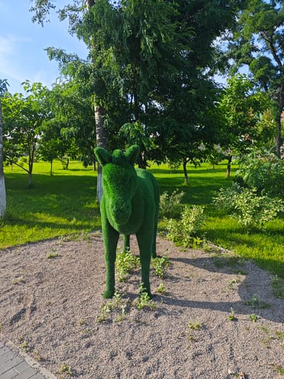 This is a medium-shot, eye-level, outdoor photograph of a green, artificial topiary donkey sculpture standing on a gravel path in a park. The sculpture is the central focus of the image. It is a full-body depiction of a donkey, made entirely of dense green material that resembles grass or moss. The sculpture has distinct ears, a muzzle, and four legs, and is positioned facing slightly to the left of the viewer.
The background consists of a well-maintained park with a bright green lawn. Several deciduous trees with lush green foliage are scattered throughout the park, with a clear blue sky overhead. The sun is shining, casting shadows from the trees and the sculpture onto the gravel path and the grass.
To the left of the sculpture, a paved walkway made of gray interlocking bricks is visible, bordering the gravel path. The environment suggests a public park or garden space, likely in a temperate climate during the daytime in the warmer seasons. The overall impression is one of a pleasant, sunny day in a public green space.