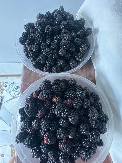 Two clear plastic bowls overflowing with blackberries are positioned on a wooden surface. The top bowl is slightly to the left and higher than the bottom bowl. The blackberries are dark purple to black and appear ripe. Some of the berries show hints of red, indicating they might not be fully ripe or are a slightly different variety. The background on the left shows a tiled surface with a decorative blue and white pattern. On the right side of the image, a white, textured fabric is visible, possibly a tablecloth or curtain. The lighting suggests an indoor environment. The image does not contain any people or specific Jaukashty, Uzbekistan, landmarks.