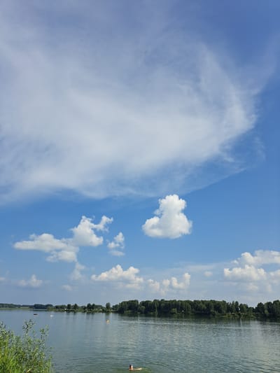 The image depicts a serene natural landscape at Sorochii Log, Russia. A vast body of water, likely a lake or river, occupies the foreground and midground, its surface reflecting the sky. The water is calm with gentle ripples. In the distance, a lush, dense treeline forms the horizon, with a few scattered white structures visible amongst the trees, possibly buildings or tents. Several small vessels, including what appear to be boats and possibly a paddleboat, are sparsely distributed on the water. In the lower right quadrant of the image, a person is partially submerged in the water, appearing to be swimming, with only their head and shoulders visible. The sky above is a brilliant blue, adorned with a mix of wispy cirrus clouds and more defined cumulus clouds. The overall atmosphere of the image is peaceful and idyllic, suggestive of a warm, sunny day.
