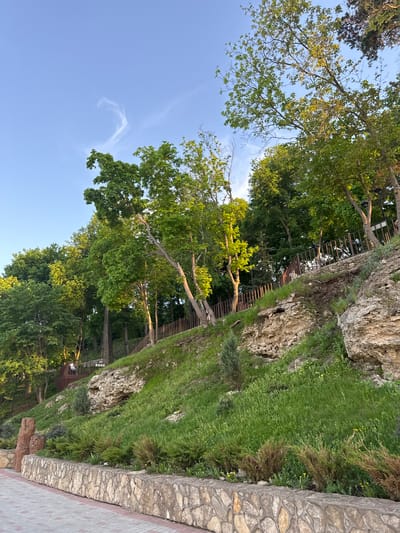 The image shows a tree-lined park area in Krasny Klyuch, Russia. On the right side of the image is a stone wall with grassy vegetation growing along it. To the left of the wall, there is a dense group of trees with green foliage, reaching towards the sky. A faint wisp of clouds can be seen in the blue sky. A wooden structure resembling a walkway is nestled among the trees. The scene appears to be outdoors during daylight. The image appears to be rotated.