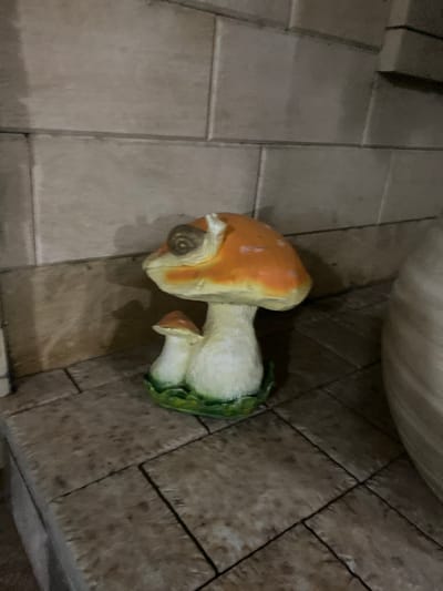The media file shows a close-up, angled view of a decorative mushroom figurine lying on a tiled floor. The mushroom is depicted with an orange cap speckled with white, a white stem, and green detailing at the base, suggesting it's a representation of a toadstool or Amanita muscaria. A small, brown, snail-like object is attached to the side of the mushroom's cap. The flooring consists of large, rectangular, grey tiles with visible grout lines. The lighting suggests an indoor setting, possibly with overhead lights casting shadows, creating a slightly dim atmosphere. The angle of the shot is from above, looking down at the mushroom and the floor. There is no visible text, people, or indication of the time of day or weather conditions. The scene is static, with the mushroom simply resting on the surface. The context provided, Khasavyurt, Russia, does not offer any specific visual cues within the image itself.