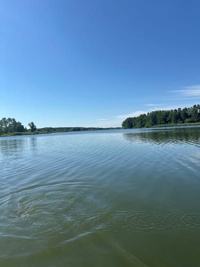 The image depicts a wide, calm body of water with a clear blue sky above. The water exhibits gentle ripples and reflects the sky and the surrounding greenery. On the left side of the frame, a line of trees and vegetation forms the shoreline, with some taller trees on the far left. The right side of the frame also shows a densely forested shoreline stretching into the distance. The water appears to be a lake or a wide river. No people or man-made structures are visible in the image. This scene is consistent with the natural landscape found in and around Khlypnivka, Ukraine, a village known for its picturesque natural surroundings, including water bodies and forests.