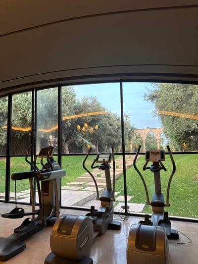 The image shows three elliptical cross-trainers in an indoor gym space in Ouled Jelal, Morocco, at the coordinates 31.664 latitude and -7.871 longitude. Two of the machines are facing the viewer, and one is facing away. The gym has large windows with a view of a lush outdoor courtyard. The courtyard features olive trees, manicured shrubs, a stone walkway, and a white stucco archway. The floor in the gym is tiled in light beige. The machines are all the same brand and model, and are in good condition. There are no people present in the image. The gym appears to be empty and still. The image is taken from the perspective of someone standing in the gym, looking out the window towards the courtyard.