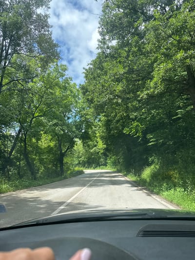 The image captures a view from the perspective of a car driving on a paved road through a lush, green forest. The road is asphalt with a white line marking the center. Tall trees with dense foliage line both sides of the road, creating a canopy overhead. Sunlight filters through the leaves, casting dappled shadows on the road. The sky is visible through the gaps in the trees, showing patches of blue with white clouds. A human hand with manicured fingernails is visible in the lower left corner of the image, suggesting the driver or a passenger. The environment appears to be a rural or natural setting, likely outside of a densely populated urban area, potentially on the outskirts of Nikolaevo, Bulgaria, given the context.