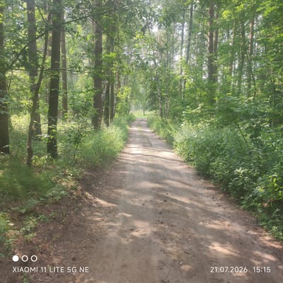 The image depicts a dirt road winding through a dense forest. Tall trees with lush green foliage line both sides of the road, creating a canopy that allows dappled sunlight to filter through. The road surface appears to be composed of sand and soil, with some scattered pine needles and small stones. The vegetation along the roadside is thick and verdant, with various types of plants and bushes. In the distance, the road continues to curve and disappear into the trees. The sky is not visible, but the lighting suggests it is daytime, possibly late morning or early afternoon. The bottom right corner of the image displays a date and time stamp: "21.07.2026 15:15", and the bottom left corner shows the text "XIAOMI 11 LITE 5G NE" with three circular icons. This scene is likely from a rural or natural setting outside of an urban area.