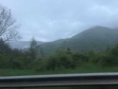 The image shows a view of a mountainous landscape shrouded in mist, likely taken from a moving vehicle. In the foreground, a gray guardrail is visible. Beyond the guardrail, there is dense green foliage with trees. Further back, there are hills and mountains partially obscured by fog. The sky is overcast and gray. While the image hints at a mountainous region, it's difficult to verify the exact location of Lukovo, Bulgaria.