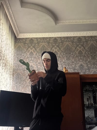 The image depicts an indoor scene within a residence in Durgena, Georgia. A male subject, appearing to be a young adult, is centrally positioned. He is wearing a black hooded sweatshirt with the hood up, covering a white beanie, and dark trousers. He holds a green, plush electronic "dancing cactus" toy, contained in a small terracotta-colored pot, with both hands, manipulating a component on its base. The toy has embroidered facial features.

The background features a wall covered in patterned wallpaper with an intricate, possibly damask, design in muted tones of beige and grey. The light-colored ceiling exhibits decorative white crown molding, including a distinct curved architectural detail near the upper left. To the left, a sheer, patterned curtain partially covers a window. On the lower left, a black flat-screen television is visible. To the right, a dark wooden cabinet or hutch with a glass-fronted display section, containing various items such as bottles and glassware, is present. A golden-colored figurine rests atop this cabinet.