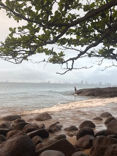 This image depicts a rocky coastline in Sơn Trà Ward, Vietnam, under an overcast sky. The foreground features numerous dark, wet boulders distributed along the shoreline and partially submerged in the ocean. A white-foamed wave is observed breaking against these rocks in the lower midground. Overhanging branches of a tree, densely covered with green leaves, frame the upper portion of the scene. In the midground, a single individual, wearing light-colored clothing, stands on a dark rock formation that extends into the water from the right. This person is positioned facing the water, appearing to be engaged in an activity at the water's edge. The background displays a wide expanse of grey ocean, beyond which a dense urban skyline composed of multiple high-rise buildings is visible on the distant horizon. Faint outlines of small vessels are present on the water between the midground and the distant cityscape.