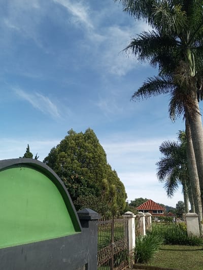This image depicts an outdoor daytime scene in Salai Har Htan, Myanmar, characterized by a clear sky with scattered wispy white clouds. In the foreground, on the left, is a partial view of a structure featuring a prominent arched section painted bright green, resting on a dark gray base. To its right, a dark metal gate with intricate patterns is partially visible, supported by light-colored rectangular pillars.

Beyond the gate, a manicured grassy area extends into the midground. The environment is rich with diverse foliage: large, dense green coniferous trees dominate the left and center midground, with other tropical-looking trees and shrubs interspersed. On the right side of the image, two tall palm trees with visible textured trunks and dark green fronds stand prominently.

In the background, behind the trees and grass, a building with a distinctive reddish-brown tiled roof and dark-framed windows is partially visible, suggesting a residential or resort-like structure. The scene is brightly lit, indicating sunny weather. No people or active subjects are present, and no specific actions or interactions are depicted. The overall impression is one of a tranquil, well-maintained landscaped area.