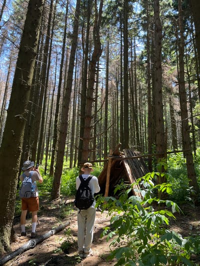 Two people are standing in a forest with tall, thin trees. The scene appears to be a sunny day. The trees are densely packed, creating a dappled light effect on the forest floor. To the right of the frame, there is a small, rustic wooden structure, possibly a shelter or a small hut, built from branches and logs. Lush green foliage is visible around the structure.
One person is closer to the structure and is wearing a white long-sleeved shirt, light gray sweatpants, a hat, and a black backpack. They are looking towards the structure or the surrounding woods. The second person is further away, in the foreground, and is wearing a gray t-shirt, brown shorts, a hat, and a light blue backpack. They are holding a phone, appearing to take a picture or record video. Both individuals are dressed casually, suggesting an outdoor activity like hiking or exploring. The overall mood seems relaxed and exploratory, given the natural setting and the activity of observation. The orientation of the image is landscape, but the content appears to be rotated 90 degrees counter-clockwise.