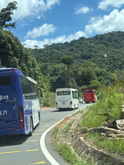 A convoy of buses travels along a paved road bordered by lush green vegetation and a drainage ditch. The road curves to the right as it ascends a densely forested mountainside under a blue sky dotted with white clouds. The lead vehicle, a blue tour bus, is partially visible on the left. Further ahead, a white passenger bus, followed by a red bus, are also on the road. The mountainous terrain is covered in a thick canopy of trees.