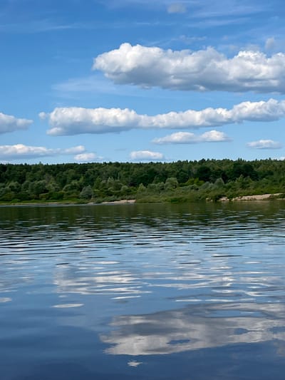 This is a landscape photograph taken at Ust'-Liuga, Russia. The image is oriented vertically and depicts a scene of a serene body of water, likely a river or lake, with a lush green forest lining its bank. The sky above is a clear blue, dotted with fluffy white cumulus clouds. The water's surface is rippled, reflecting the sky and the surrounding trees, creating an impressionistic, abstract pattern of light and color.
The overall mood of the image is tranquil and peaceful, evoking a sense of calm nature. The sun appears to be shining, suggesting it is daytime, likely late morning or afternoon, given the brightness and the presence of distinct cloud formations. There are no people or specific objects visible, focusing the attention entirely on the natural landscape. The dense green foliage of the forest suggests a temperate climate, possibly during the warmer months of the year. The reflection of the clouds in the water is a prominent detail, adding depth and visual interest to the scene. No text is visible in the image.