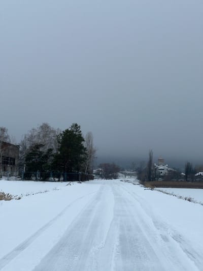 The image depicts a snow-covered winter landscape in Zarichne, Ukraine, under a uniformly overcast, light-grey sky. A snow-packed track, exhibiting discernible tire impressions, extends longitudinally from the foreground into the distant background, subtly veering towards the right. The terrain on either side of this track is covered in a consistent layer of snow.
On the left side of the frame, in the midground, stands a decaying, light-colored brick industrial building with a large, dark opening indicative of a missing window or wall section. Adjacent to and partially behind this structure, a dense cluster of trees, including both evergreen conifers and bare deciduous varieties (such as birch), is visible, partially enclosed by a low blue fence. Dry, reedy vegetation is present in the immediate left foreground.
To the right of the track, a flat, snow-covered expanse, consistent with a frozen body of water or a field, stretches into the distance, with patches of dry, brown vegetation discernible along its perimeter. In the midground-right, an Orthodox church, characterized by a prominent golden dome and smaller cupolas, is visible, partially screened by bare trees and distant haze. Additional indistinct structures populate the distant background, which exhibits reduced visibility due to atmospheric conditions. The scene is devoid of human presence or discernible activity.