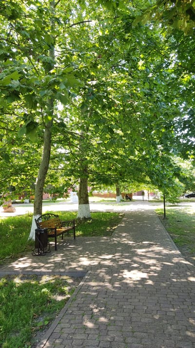 The image depicts a park pathway in Takhtamukai, Russia, under the canopy of large, leafy trees. A brown and black metal bench sits to the left of the paved walkway, which is made of interlocking bricks and dappled with sunlight and shadows from the trees. Green grass borders the path, with some areas showing exposed soil. In the background, there are more trees, some with their lower trunks painted white, suggesting they are part of a park or garden. Two people are visible in the distance walking on the path. The environment appears to be a public space intended for relaxation and recreation.