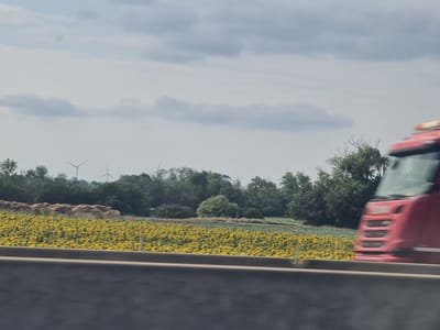 The image shows a blurred view of a red truck driving past a field of sunflowers. In the background, there are trees and wind turbines. The scene appears to be a rural landscape. The exact location in Traiskirchen, Austria is not discernible from the image.
