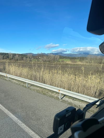 The image captures a rural landscape near Pont de Molins, Spain, viewed from within a vehicle. In the immediate foreground on the right, a dark electronic device with a green indicator light is visible on the dashboard, alongside a partial view of a vehicle's mirror structure. An asphalt road with a white solid line on its left edge extends across the lower left. A silver-colored metal guardrail, equipped with orange circular reflectors, runs horizontally parallel to the road. Beyond the guardrail, a field of dry, tall, light-brown reedy vegetation is present. Further back, a cultivated field of brown earth is visible, transitioning into distant green fields and a line of mostly deciduous trees with bare branches, interspersed with some evergreen foliage. The background features rolling hills and mountains, some with lighter-colored or snow-dusted peaks, under a bright blue sky with scattered white cumulus clouds. No individuals or active interactions are visible.