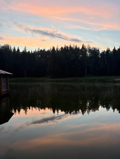 The image depicts a serene natural landscape at dusk. In the foreground, a dark body of water reflects the sky and the surrounding environment. The water's surface is calm, with subtle ripples and a hint of mist rising. On the left side of the water, a wooden structure, possibly a small cabin or a boathouse, is partially visible. Its roof is angled, and a window with visible wooden frames is present on its side.

Beyond the water, a dense line of dark green coniferous trees forms a forest backdrop. The trees are silhouetted against the sky, creating a stark contrast. Above the forest, the sky is a canvas of soft, pastel colors, transitioning from a light blue at the top to delicate shades of pink and orange near the horizon, indicative of a sunset or sunrise. Wispy clouds are scattered across the sky, catching the fading light and adding texture. The overall atmosphere is tranquil and peaceful. The image appears to be taken in a natural setting, likely a rural or forested area. There are no people or animals visible in the frame, and no discernible actions are taking place. The location is not specified beyond the general description of a natural environment.