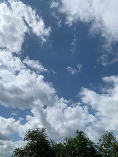 The image shows a view of the sky from below, looking upwards. The sky is a vibrant blue, dotted with fluffy white clouds of varying sizes. Some of the clouds are dense and appear to be cumulus, while others are wispy and scattered. The lighting suggests it is daytime, likely late morning or early afternoon, with the sun casting bright illumination on the clouds.
In the upper right quadrant of the image, the dark green foliage of a tree is visible, with its leaves and branches extending into the frame. A few small red berries can be seen interspersed within the leaves. The presence of the tree suggests an outdoor setting, possibly a park, garden, or natural landscape. The angle of the shot, looking up at the sky and trees, creates a sense of looking up from the ground.
The overall mood conveyed by the image is serene and peaceful, with the bright sky and clouds evoking a sense of calm and perhaps pleasant weather. There is no discernible activity or event taking place, beyond the natural state of the sky and the presence of the tree. No text is visible in the image. Given the location context of Ivanava, Belarus, the scene depicts a typical summer day in the region, characterized by blue skies and scattered clouds.