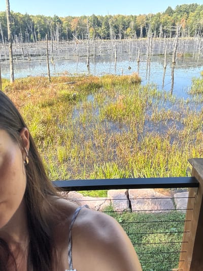 The image captures a wetland landscape in Otego, United States, viewed from an elevated position featuring a railing structure. In the lower left quadrant, the partial profile of a female subject is visible, showing the left side of her head, a section of her long, dark brown hair, and her left shoulder. A small, reflective earring is present on her left ear, and a light-colored, possibly patterned, strap is visible on her shoulder. The lower right foreground displays a segment of a wooden railing with a black top rail and thin black horizontal cables; below this, stones and green ground cover are visible. The mid-ground is dominated by a marshy area with standing water and dense, tall grasses displaying shades of green and reddish-brown. The background features a body of water populated by numerous bare, standing tree trunks, which are reflected on the water's surface. Beyond the water, a dense forest line with predominantly green and some early autumn-colored foliage extends under a clear blue sky. The scene is illuminated by bright natural sunlight.