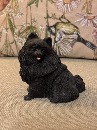 An indoor photograph displays a black statuette of a dog, resembling a Pomeranian, seated on a light beige, tightly woven fabric surface. The statuette is positioned slightly off-center to the right, facing forward and slightly to the right, with a small pink tongue protruding from its mouth. It possesses dark eyes and a textured surface designed to mimic fur, predominantly black with scattered minute light-colored specks. Behind the statuette, a blurred pillow or cushion is visible, featuring a woven tapestry pattern that depicts a bird with olive-green, brown, and white plumage perched on a branch, surrounded by light purple and white flowers with green stems and leaves against a muted pinkish-beige background. The scene is illuminated by soft, ambient light, suggesting an indoor environment. This depiction is located in the city of Zelenogradskiy, Russia.