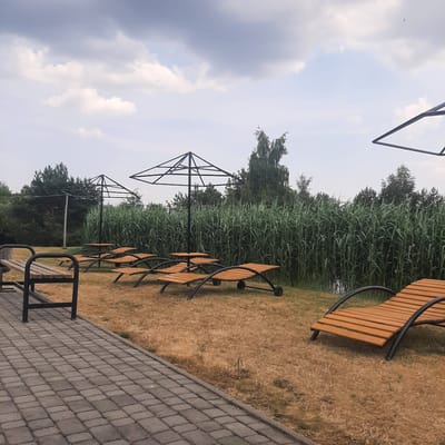 The image depicts an outdoor scene with a paved walkway in the foreground, leading to an area with benches and tall reeds or grass. Several wooden benches with black metal frames are arranged in a row. Behind the benches, a dense wall of green reeds stretches across the mid-ground, with trees and foliage visible beyond. In the background, the sky is partly cloudy, with some areas of bright white clouds and some darker, more overcast patches.
Several skeletal metal structures, possibly intended for umbrellas or canopies, are sparsely placed among the reeds and trees. One of these structures is more prominent in the mid-left of the image. The ground next to the walkway and benches is covered in dry, brown grass. The scene appears to be a park or recreational area by a body of water, given the presence of reeds and the overall natural setting. The time of day seems to be daytime, likely afternoon, judging by the lighting and the clouds. The weather appears to be partly cloudy, possibly warm. There is no visible text in the image. The overall mood is tranquil and relaxed, suggesting a place for outdoor leisure.