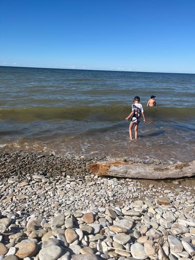 Two boys are playing in the shallow water near a rocky shore. The boy in the foreground is standing with his arms extended, wearing a black baseball cap and a white t-shirt with a checkered pattern. The boy in the background is further out in the water, also wearing a black baseball cap and appears to be looking towards the shore. A piece of driftwood lies on the shore next to the water. The scene is set on a sunny day with clear blue skies. The water is calm with small waves lapping at the shore. The ground is covered in smooth, grey and white pebbles of various sizes. The location appears to be a beach or a lakeside.