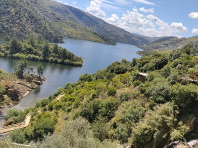 The image shows a broad, winding river or lake surrounded by green hills and vegetation. The location is Alijó, Portugal, evidenced by the landscape and architectural styles. A wooden walkway zigzags along the near bank. In the distance, rolling hills are terraced with vineyards. The sky is blue with scattered cumulus clouds. A power line is visible on the right side of the picture. A small structure is tucked among the trees.