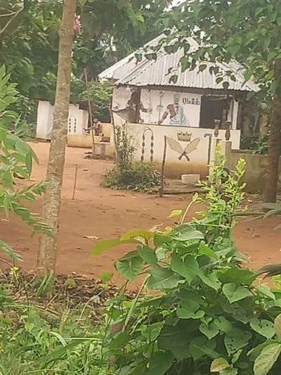 This is a photograph of a building with a corrugated metal roof in a rural area, likely in Igbosa, Nigeria. The building appears to be a shrine or place of worship, with a mural on the front depicting figures and symbols. One figure, possibly a deity or important person, is shown in elaborate blue and white attire, wearing a crown, and a name that appears to read "Obatola" is written next to it. Below the mural, there is a painting of a crown and two crossed swords. The building is situated on a reddish-brown dirt ground, surrounded by lush green vegetation and trees. In front of the building, a person is sitting on a low concrete structure, facing away from the camera. The overall scene suggests a traditional cultural setting.