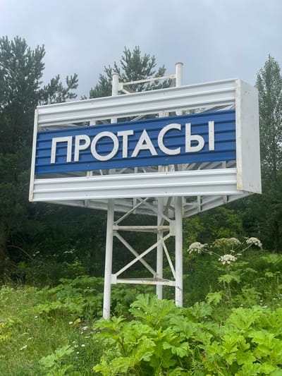 A roadside sign in Protasy, Russia, reads "ПРОТАСЫ" in white Cyrillic letters against a blue background. The sign is mounted on a white metal structure supported by a white metal frame. The surrounding environment is lush and green, with tall trees and abundant vegetation, including large-leafed plants and small white wildflowers. The sky is overcast and cloudy. There are no people or animals visible in the image.