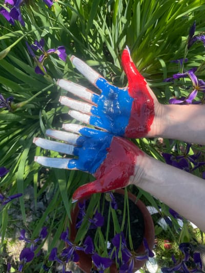 In the city of Yasnoe, Russia, two hands are painted with the colors of the Russian flag: red, white, and blue. The hands are held up against a backdrop of lush green foliage and delicate purple irises. The painting is applied in horizontal stripes, with the white color on the fingers, followed by blue, and then red on the palms. The sunlight casts a bright illumination on the scene, highlighting the glossy texture of the paint. The hands appear to be those of a young person, with neatly trimmed fingernails. The irises, in full bloom, add a touch of natural beauty to the patriotic display.