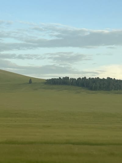 The image depicts a vast, sunlit green field under a light blue sky with scattered clouds. The field appears to be a rural or natural landscape, possibly a meadow or pasture, with subtle variations in color and texture suggesting undulations in the terrain. In the distance, a dense line of trees forms a dark, horizontal band across the middle ground, marking the edge of the field or a treeline. A solitary tree stands within the field, closer to the viewer, its silhouette a dark contrast against the green. The overall scene is serene and expansive, with no people or distinct objects visible besides the natural elements. The lighting suggests it is daytime, likely late afternoon or early evening, given the soft, diffused light and the slight golden hue in the sky. The weather appears fair. There is no visible text. The location is identified as Толстый Мыс, Russia, which suggests a natural setting within that region.