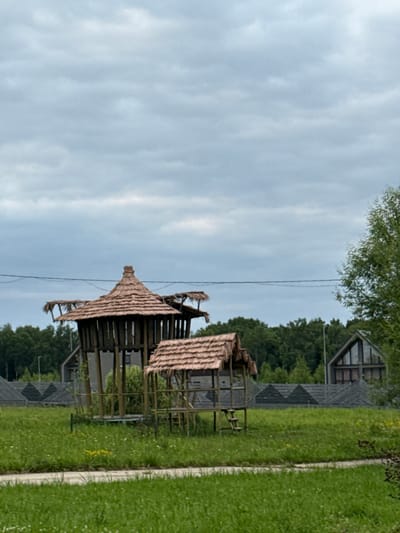 An outdoor scene in Petrovo, Russia, features a grassy area with two thatched-roof structures, one larger and elevated on stilts, and a smaller one with a ladder. In the background, a line of dark green trees forms a dense forest, with several buildings visible behind the trees, including structures with dark, triangular roofs and one with a distinctive gabled roof. The sky above is overcast with a soft, grayish-blue hue, indicating cloudy weather. The overall atmosphere is serene and natural, with the man-made structures integrated into the landscape. There are no people or animals visible in the image.