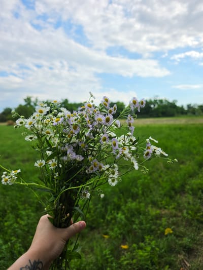 A hand with a tattoo is holding a bouquet of wildflowers. The flowers are small with white petals and yellow centers, some with light purple tips on the petals. The background is a blurred field of green grass under a partly cloudy blue sky. The image is oriented vertically, as if the camera is looking upwards towards the sky. The setting appears to be a rural outdoor area, likely a field or meadow. The lighting suggests it is daytime, possibly late morning or early afternoon. The overall mood is serene and natural. No text is visible in the image.