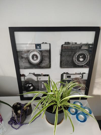 This is a vertical, eye-level, medium shot of a framed print of vintage cameras and a spider plant on a white surface. The framed print is a black, trapezoidal frame containing four black and white images of vintage cameras. The top left camera is a silver and black vintage camera. The top right camera is a black vintage camera with a textured body. The bottom left camera is a silver and black vintage camera. The bottom right camera is a black vintage camera. In front of the framed print, a spider plant with green and white striped leaves is in a dark gray pot. To the left of the spider plant, there are two small dark brown pots with a purple beaded necklace draped over them and some small stones inside. To the right of the spider plant, there are four blue, oval-shaped candle holders with small white candles inside. The background is a plain white wall. The scene is likely indoors, possibly in a home or an office.