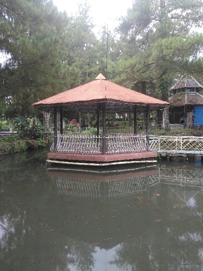 The image displays an octagonal gazebo situated in a body of dark, still water, reflecting its structure and surrounding elements. The gazebo features a reddish-orange pyramidal roof supported by dark metal pillars and is encircled by a white, ornate metal railing. Red flowering plants are visible within the gazebo's interior. Several reddish-orange fish are discernible beneath the water's surface, which also shows minor floating debris.
The background consists of a dense forest canopy dominated by tall conifer trees, indicative of an outdoor park or natural setting. To the right of the main gazebo, a secondary, smaller structure with a multi-tiered, weathered dark roof and stone-textured walls is visible; a blue tarp partially covers its side. A low white and yellow railing extends from the nearest bank towards the main gazebo, suggesting an access pathway. Green foliage and additional red flowering plants are present on the adjacent land. The scene is illuminated by an overcast sky, providing diffuse light. No individuals or active interactions are depicted. This scene is located in Ede, Netherlands.