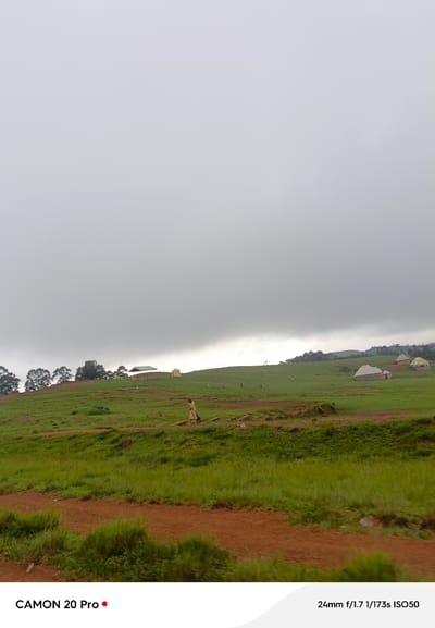 The image shows a rural landscape under a heavily overcast sky. In the mid-ground, a person wearing a light-colored garment walks on a dirt path that winds up a grassy hill. Several small structures, possibly huts or shelters, are visible scattered across the rolling green hills. In the far distance, a line of trees forms the horizon against the grey sky. The foreground consists of a rough, reddish-brown dirt track with patches of green grass. The text overlay in the bottom left corner reads "CAMON 20 Pro" with a red dot, and in the bottom right corner, it displays camera settings: "24mm f/1.7 1/173s ISO50". The scene appears to be a tranquil, everyday moment in a village or farming community in Nguroje, Nigeria.