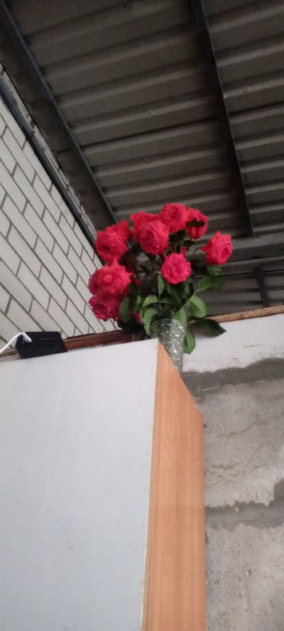 A close-up, low-angle shot shows a bouquet of vibrant pink roses in a clear, patterned glass vase. The roses are full-blown with deep pink petals and dark green leaves. They are arranged on a white, flat surface, possibly a shelf or cabinet, with a light brown wooden edge visible to the right. Behind the flowers, a textured concrete wall is visible.
Above the flowers and white surface, a corrugated metal roof is seen, supported by a dark metal beam. To the left, a white brick wall stretches upwards, partially obscured by the roof. A black object, possibly a phone, with a white cable is placed on the white surface near the brick wall. The lighting suggests an indoor or covered outdoor space with ambient light. The overall mood is serene and perhaps a bit rustic due to the materials visible. No people are present in the image. The image appears to have been taken during the daytime.