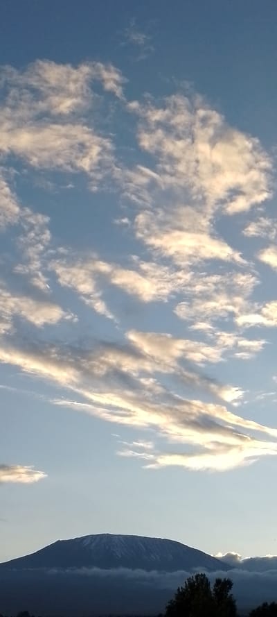 The image presents a vertical landscape view located within Kuku ward, Kenya. The scene is dominated by a blue sky, transitioning in tone from a lighter hue at the lower horizon to a deeper blue overhead. The sky contains numerous cloud formations; many appear as elongated, horizontal bands illuminated with white and golden-yellow tones, while others are smaller and more diffused. A faint crescent moon is discernible in the upper-left quadrant of the sky.
The lower third of the frame is occupied by a large, dark mountain mass, consistent with the profile and snow-capped summit of Mount Kilimanjaro. Distinct patches of white snow or ice are visible along the upper ridge of the mountain. A layer of dark, low-lying clouds or mist partially obscures the mid-section of the mountain. At the extreme bottom-right corner, a small cluster of dark-toned foliage is visible, appearing as a silhouette. There are no human subjects, discernible man-made objects beyond the landscape itself, or specific actions depicted. The lighting suggests either early morning or late afternoon conditions.
