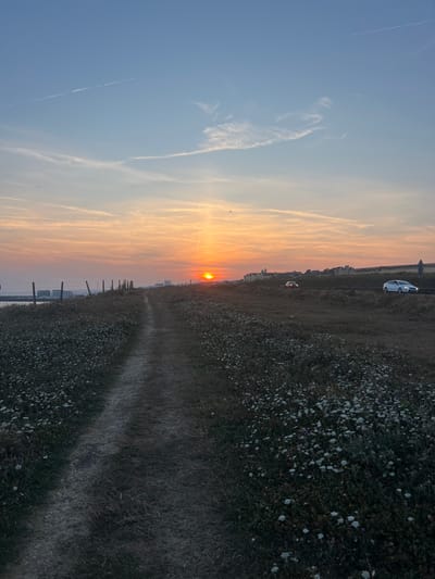 The image depicts a sunset over the coast of Ovingdean, United Kingdom. A dirt path, lined with white wildflowers, leads into the distance towards the setting sun. In the background, buildings and structures can be seen along the coastline. Two cars are visible driving on a road parallel to the coast. The sky is a gradient of blue, orange, and pink, with scattered clouds. The overall scene is serene and natural, with the setting sun casting a warm glow over the landscape.