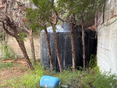 The image shows a black water tank situated in an overgrown outdoor area in Γερακινή, Greece. The tank is partially obscured by thin trees with peeling bark and green foliage. A blue pressurized water tank lies on its side in the foreground, surrounded by weeds. A light-colored concrete wall, potentially a part of a building, is visible on the right side of the image, while another similar wall is seen on the left. The area appears to be unkempt, with overgrown vegetation and discarded equipment.