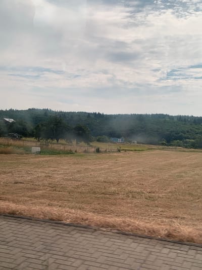 This is a landscape photograph, likely taken in Volpertshausen, Germany, that appears to be rotated 90 degrees counter-clockwise. The scene depicts a rural setting with a vast, dry, golden field of grass in the foreground, transitioning into a dense, dark green forest that forms a hillside in the background. The sky is filled with large, dramatic white and grey clouds, suggesting a partly cloudy day. A paved pathway with a brick pattern runs along the right edge of the frame, indicating a man-made boundary or walkway.
In the middle ground, near the edge of the forest, there are a few man-made objects. A small, light-colored structure resembling a shed or booth is visible, and next to it, a blue trailer or vehicle. A plume of light grey smoke is rising from the area around these objects, suggesting some kind of activity or event is taking place, possibly related to farming or a controlled burn. Fencing can be seen along the edge of the field, delineating it from the forest. Another structure, a white water tank or similar container, is visible further into the field, also near the fence line. At the very bottom left, a glimpse of a red-roofed structure, possibly a building, is visible.
The lighting suggests it is daytime, likely afternoon given the cloud cover and the angle of the light. The overall impression is one of a tranquil rural landscape with a hint of ongoing activity or a recent event indicated by the smoke. No text is visible in the image.